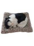 Plush cat sleeping on a textured pillow